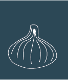 garlic design