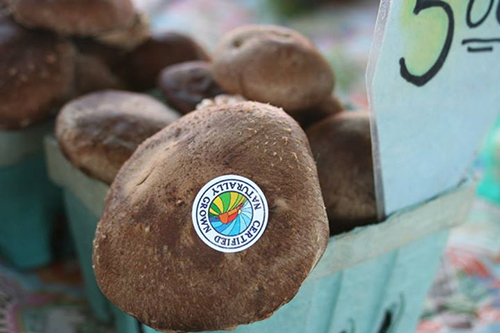 Close up of potatoes